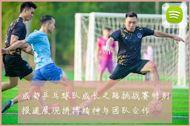 成都乒乓球队成长之路挑战赛特别报道展现拼搏精神与团队合作