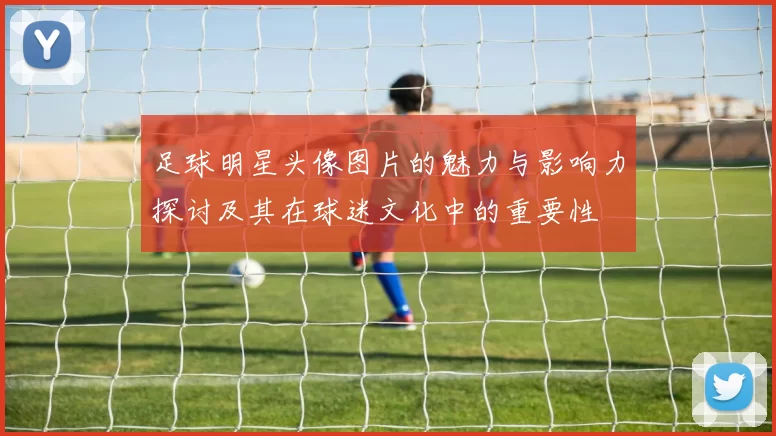 足球明星头像图片的魅力与影响力探讨及其在球迷文化中的重要性
